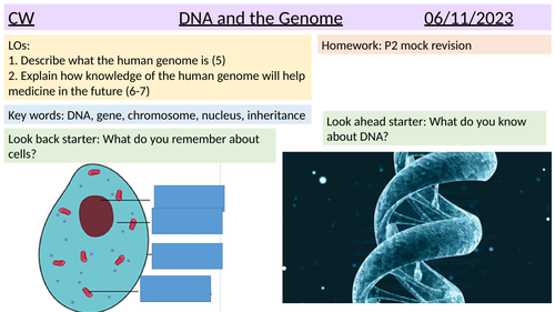 DNA and the genome GCSE BIO