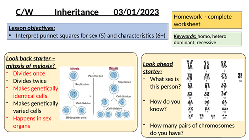 Genetic Inheritance And Sex Determination Teaching Resources 