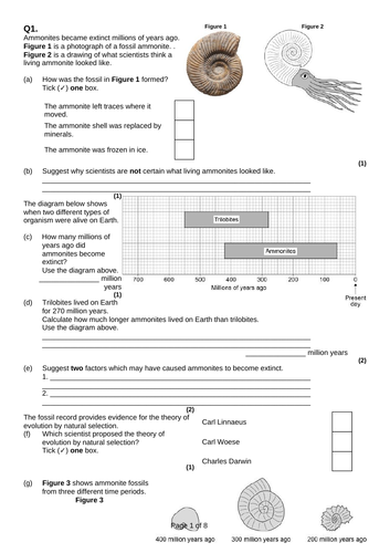 Evidence for evolution