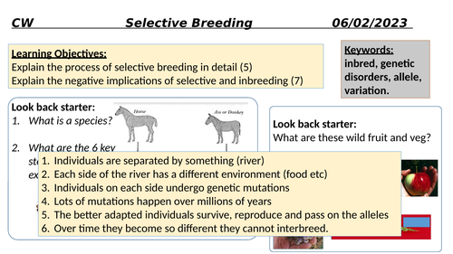 Selective breeding