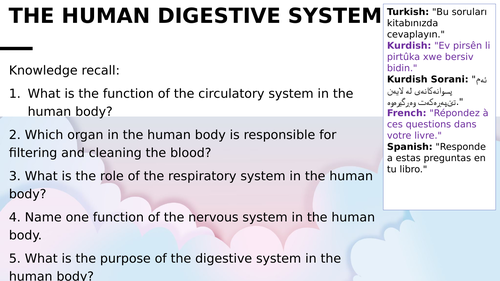 3.1 L4 The digestive system (AQA, ELC spec. for GCSE EAL learners)