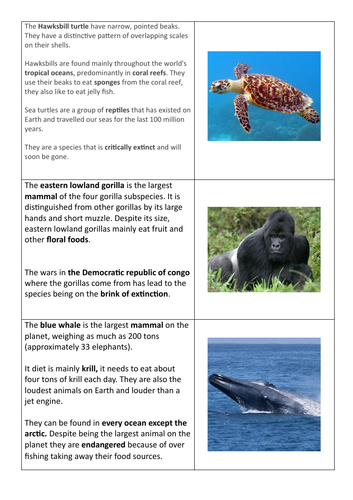 Endangered Animal Categorising Scavenger Hunt