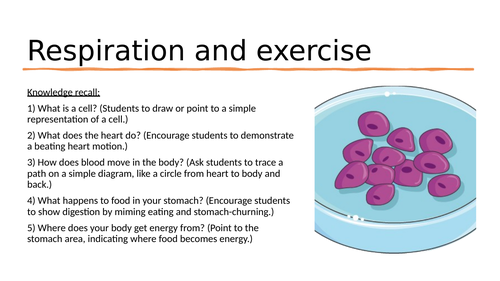 3.1 L5 Respiration and health (AQA, ELC spec. for GCSE EAL learners - how the body works)