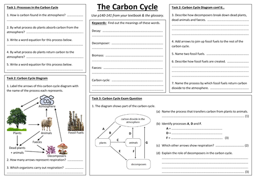 CB9h - Carbon Cycle summary sheet (Edexcel Combined Biology GCSE)