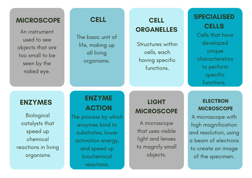 EDEXCEL CB1 Flashcards