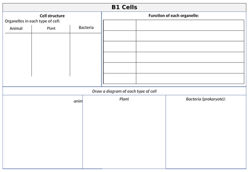 AQA B1 Cell structure revision mat