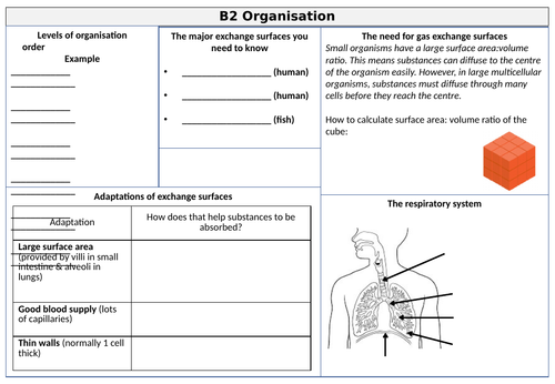 AQA Trilogy (combined science) B2 Organisation revision mat