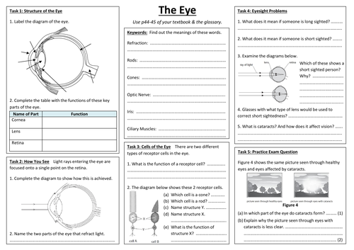 SB2h - The Eye summary sheet (Edexcel Single Biology GCSE)