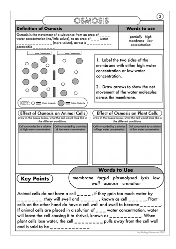 GCSE AQA Biology transport Osmosis lessons