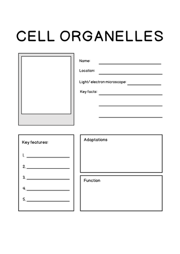 Cell organelle factfile
