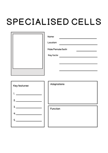 Specialised cells fact file