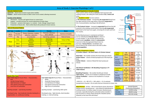 GCSE KO Area 2 Exercise Physiology Recall sheet and answers
