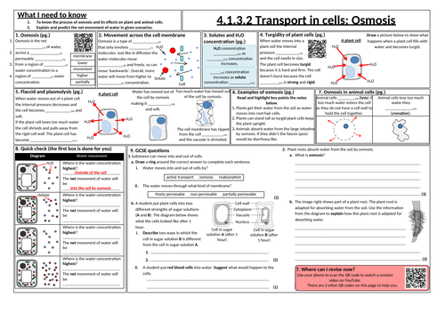 Transport in cells: Osmosis