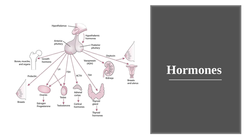 Hormones