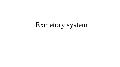 Excretory System