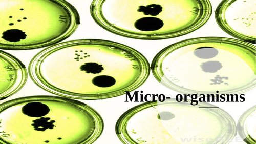 Bacteria, Fungi and Virus