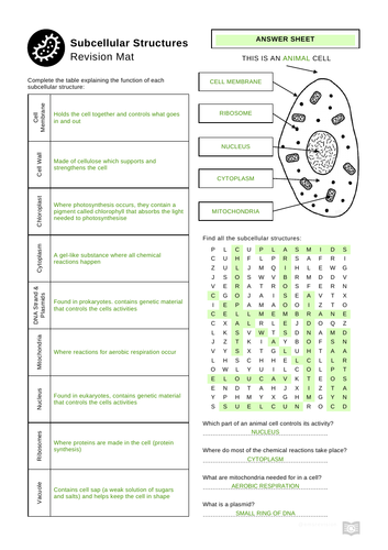 Subcellular Structures Revision Mat A4 & A3