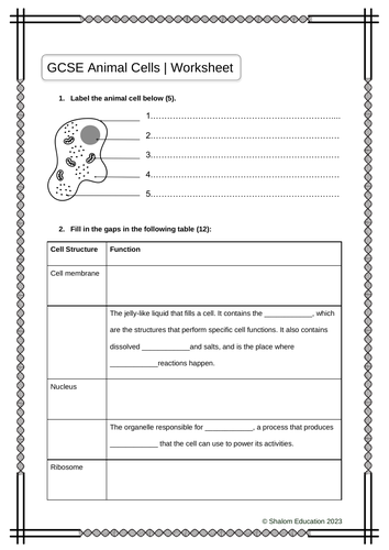 GCSE Biology: Animal Cells & Specialisation Activity Worksheet