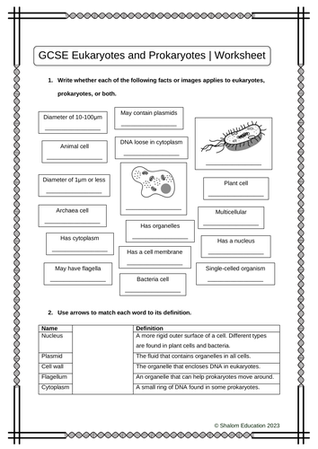 GCSE Biology - Eukaryotes and Prokaryotes Activity Worksheet