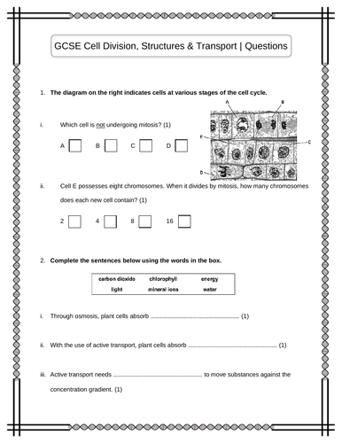 Gcse Biology Cell Division Structures And Transport Practice Questions 1 Teaching Resources 3156