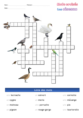 [French crosswords] mots croisés : oiseaux (9 mots)