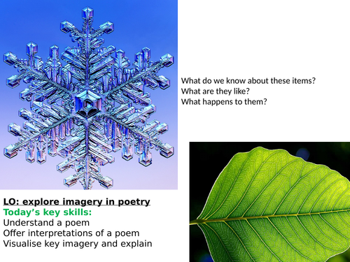 The Falling Leaves | Teaching Resources