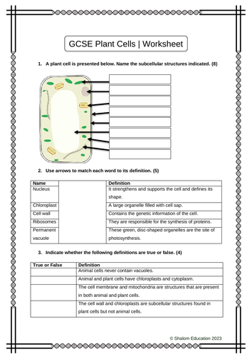 GCSE Biology - Plant Cells Activity Worksheet