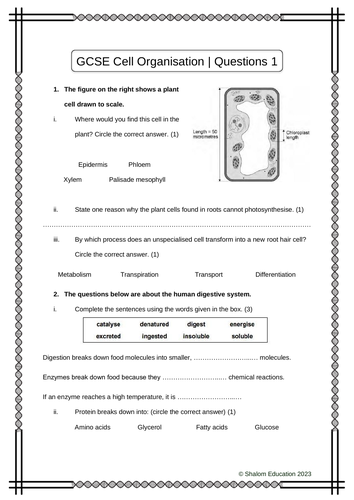 GCSE Biology - Cell Organisation Practice Questions 1