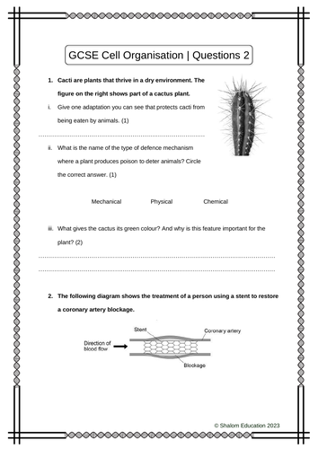 GCSE Biology - Cell Organisation Practice Questions 2