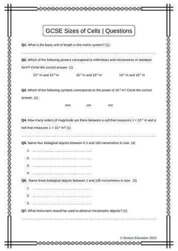 GCSE Biology - Sizes of Cells Practice Questions