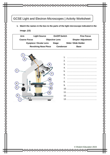 GCSE Biology - Light and Electron Microscopes Activity Worksheet ...