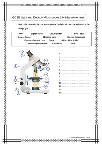 GCSE Biology - Light and Electron Microscopes Activity Worksheet