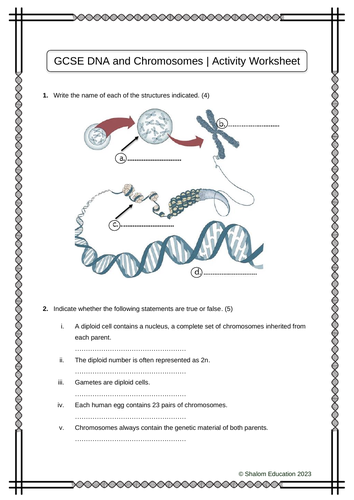 GCSE Biology - DNA and Chromosomes Activity Worksheet