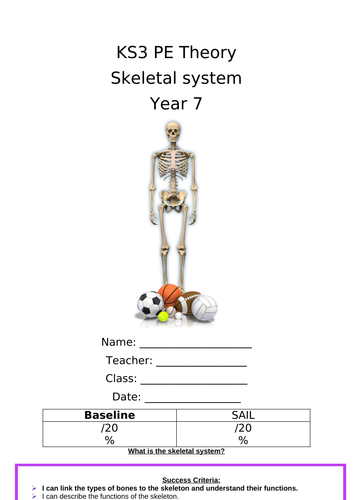 KS3 Theory Lesson - Skeletal System