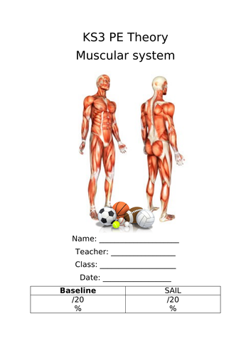 KS3 Theory Lesson - Muscular System