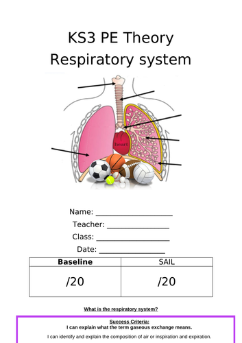 KS3 Theory Lesson - Respiratory System