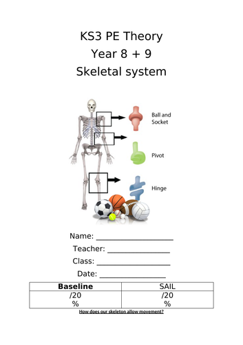 KS3 Theory - Skeletal System Part 2