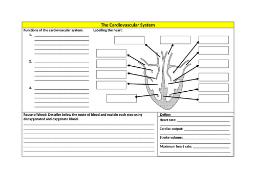 Cardiovascular System Revision Sheet