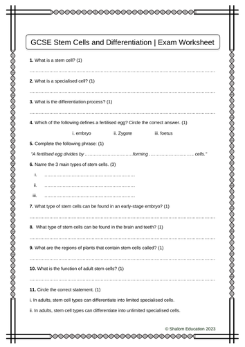 GCSE Biology - Stem Cells and Differentiation Practice Questions