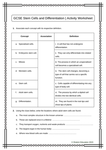 GCSE Biology - Stem Cells and Differentiation Activity Worksheet