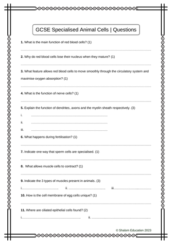 GCSE Biology - Specialised Animal Cells Practice Questions