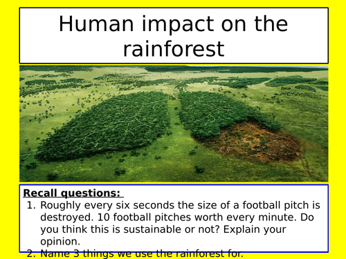 Human impact on the rainforest