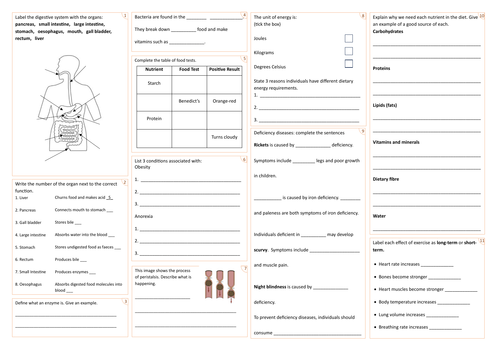 Nutrition and Digestion Revision Mat