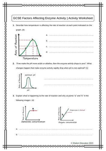 GCSE Biology - Factors Affecting Enzyme Activity - Activity Worksheet