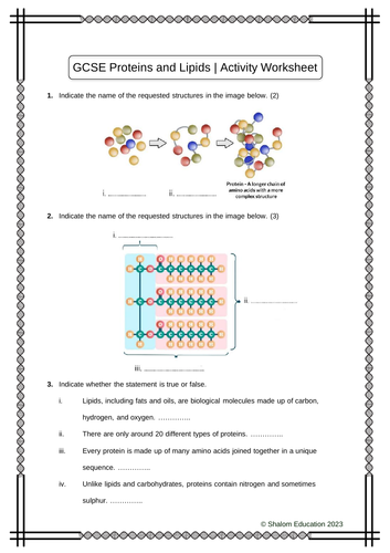 GCSE Biology - Proteins and Lipids Activity Worksheet