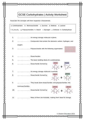 GCSE Biology - Carbohydrates Activity Worksheet