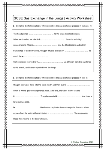 GCSE Biology - Gas Exchange in the Lungs Activity Worksheet