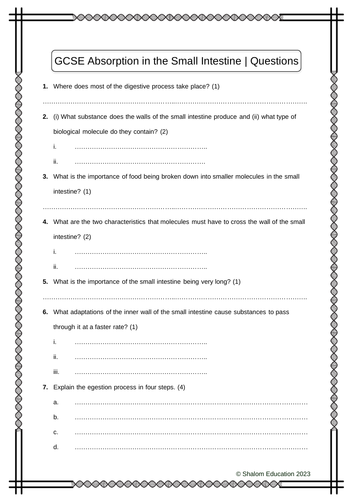 GCSE Biology - Absorption in the Small Intestine Practice Questions