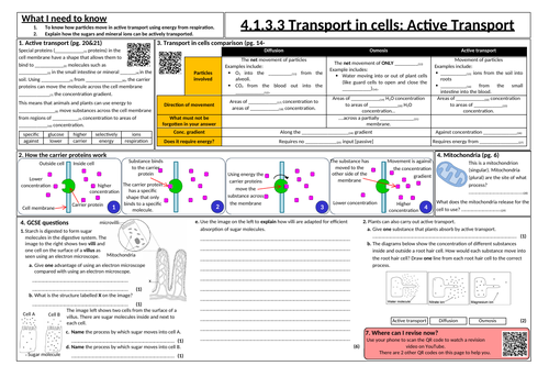 Transport in cells: Active transport