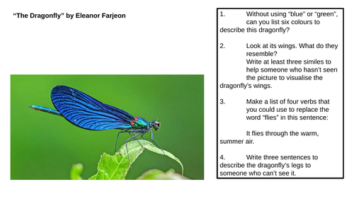 KS2, KS3, "A Dragonfly" Eleanor Farejon, writing, reading, crr, cover, homework